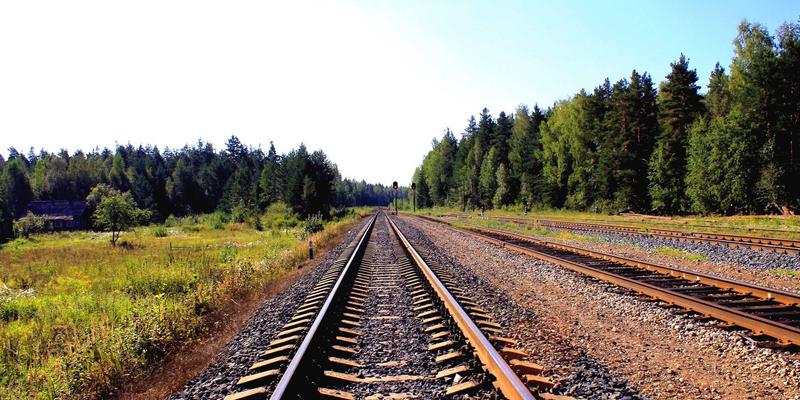 宠物家庭专属清洁方案：PP洗衣如何应对宠物毛发、异味与细菌的多重挑战