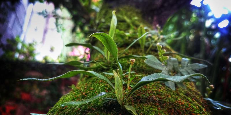 硬水还是软水？PP洗衣揭秘：针对不同水质的专业洗衣方案与本地化适配