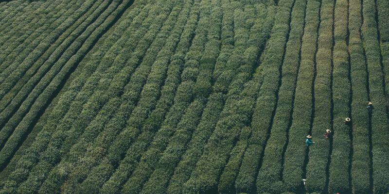 羊绒真丝如何洗护？PP洗衣高端衣物专业洗涤与保养全攻略