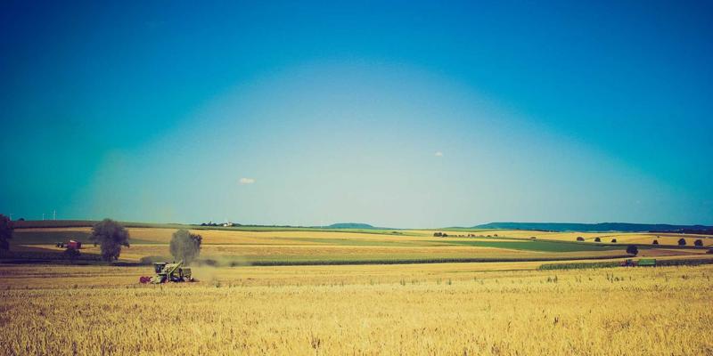职场精英的衣橱管理术：PP洗衣如何通过专业熨烫与护理提升职业形象